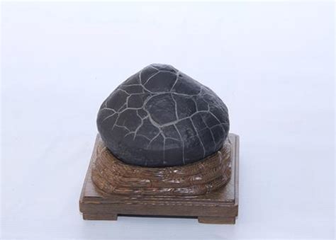 井谷吉利 龜殼石